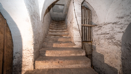 Gewölbekellertreppe