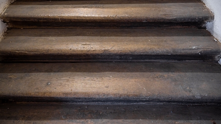 Histroische Treppe aus Eichenbalken